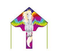 Cerf-volant HQ Kites Delta Eco Pegase Multicolore 120 cm
