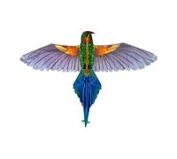 Cerf-volant oiseau tropicale Icare Distribution Multicolore 165x75 cm