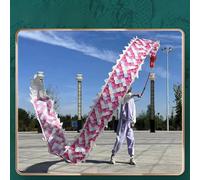 Cerf Volant Petit Poi de Dragon Nuage Magique Rose, Ruban de Soie Lavable Extérieur 2m / 3m / 5m pour Enfants, Petite Banderole de Dragon à Lancer avec Écailles de Dragon ( Size : 5 m (16.4 ft) )