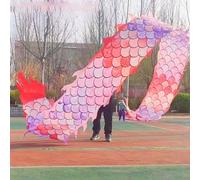 Cerf-volant Poi Dragon avec tête de dragon réaliste 3D, ensemble de serpentins de danse à l'échelle colorée, lavable et durable, drapeau artistique d'entraînement physique en plein air