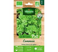 Vilmorin Sachet graines Cerfeuil Commun Bio - Anthriscus cerefolium
