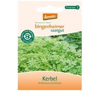 Cerfeuil 'Fijne Krul' - Anthriscus cerefolium