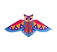 Cerfs-volants coupe-vent pour jouer en plein air en tissu polyester 190T cadre en fibre de verre assure un vol stable, facile à plier et à ranger, cerfs-volants hiboux haute visibilité
