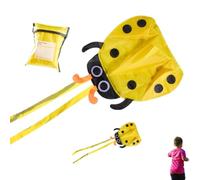 Cerfs-volants de plage pour activité de plage extérieure à motif