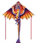 Cerfs-Volants Dragon pour Enfants, Cerfs-Volants en Forme de Delta, en Tissu Nylon Ripstop, Ligne de cerf-Volant résistante au Vent, Jouets extérieurs animés