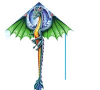 Cerfs-Volants Dragon pour Enfants, Cerfs-Volants en Forme de Delta, en Tissu Nylon Ripstop, Ligne de cerf-Volant résistante au Vent, Jouets extérieurs animés