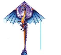 Cerfs-Volants Dragon pour Enfants, Cerfs-Volants en Forme de Delta, en Tissu Nylon Ripstop, Ligne de cerf-Volant résistante au Vent, Jouets extérieurs animés