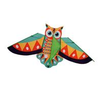 Cerfs-volants hiboux pour enfants activités de plein air colorées couleurs vives design haute résistance au vent cadre en fibre de verre assemblage facile jouet de voyage coloré couleur vive