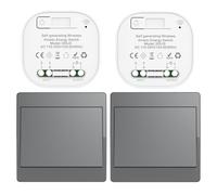 Cerhot gris Kit d'interrupteur cinétique sans fil auto-alimenté interrupteurs de lumière télécommandés RF interrupteur cinétique sans fil sans pile interrupteurs radio sans fil (Gray 1Gang 2V2 EU)