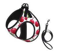 Cerises Rouges imprimées,Harnais pour Animaux de Compagnie, Harnais réfléchissant réglable pour Chien,S