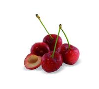 Cerisier nain chérie cherry - nains de jardins® - pot de l