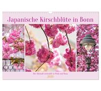 Cerisiers en fleurs du Japon à Bonn (Calendrier mural 2026 DIN A3 horizontal), CALVENDO calendrier mensuel