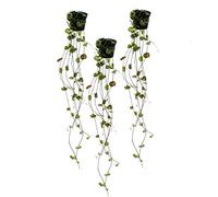 Ceropegia woodii Lot de 3 bougies
