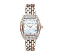 Cerruti 1881 Montre Calliano