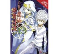 Certain Magical Index Volume 13 Kazuma Kamachi, Kiyotaka Haimura (Auteur)