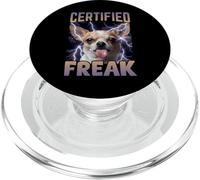 Certifié Freak Chihuahua Chien Drôle Maudit Meme PopSockets PopGrip pour MagSafe
