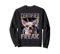 Certifié Freak Chihuahua Chien Drôle Maudit Meme Sweatshirt