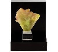 CERUSITE JAUNE - Pierre Naturelle en Provenance de la République du Congo, M'fouati - Cristal Rare et Brillant, Collection Minérale 64.3 ct - Certificat d'Authenticité Inclus 25 x 25 x 7 mm Jaune G