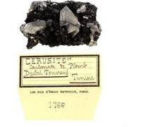 CERUSITE - Pierre Naturelle en Provenance de Tunisie, Djebel Touireuf - Cristal de plomb, minéralogie, collection Deyrolle 187.0 ct - Certificat d'Authenticité Inclus 48 x 30 x 20 mm G