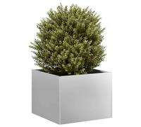 Cervaline Jardinière 40x40x30 cm Acier galvanisé,Maison & Jardin,Pelouses & Jardins,Jardinage,Pots & Cache-Pots,4.1 kg-860799