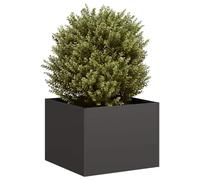 Cervaline Jardinière Noir 40x40x30 cm Acier,Maison & Jardin,Pelouses & Jardins,Jardinage,Pots & Cache-Pots,4.1 kg-860794