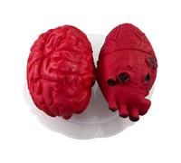 Cerveau , accessoire réaliste de cœur humain - Coeur de cerveau sur une assiette Conception d'organes sanglants effrayants | Faux Cœur Modèle Simulation Faux Coeur Creepy Bloody Prop