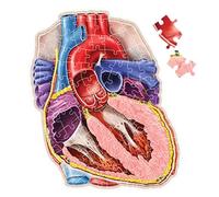Cerveau Humain Puzzle Géant,Puzzle De 100 Pièces Modèle Cerveau Humain - Éducatif Anatomie Jeu Cadeau Anniversaire Noël Maison École