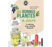 Ces bonnes plantes à boire: 30 plantes à récolter dans la nature et au jardin !