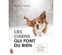 Ces chiens qui font du bien - Tika, Fox, Rocco et autres compagnons d'exception ALLARD SOPHIE (Auteur), Chantal Levesque (Illustration)
