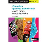 Ces objets qui nous envahissent: objets cultes, cultes des objets