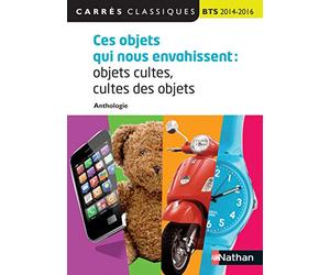 Ces objets qui nous envahissent: objets cultes, cultes des objets