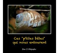 Ces "P'tites Bêtes" Qui Nous Entourent: Portfolio