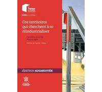 Ces territoires qui cherchent à se réindustrialiser