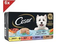CESAR 24 Barquettes en gelée 4 variétés pour chien senior 150g (6x4)