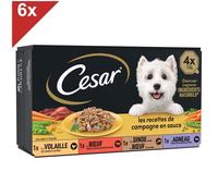 Cesar 24 Barquettes En Sauce 4 Variétés Pour Chien 150g (6x4)