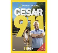 Cesar 911