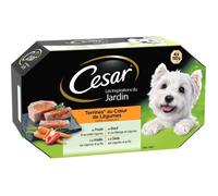 CESAR Barquettes en terrine cœur de légumes - 4 variétés - Pour chien adulte - 4 x 150 g