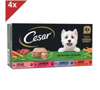 CESAR - Barquettes en terrine pour chien - 4 variétés - Aliment complet pour chiens adultes