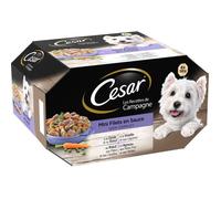 CESAR Barquettes Mini filets en sauce - 4 variétés - Pour chien adulte - 8 x 150 g