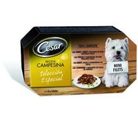 CESAR Coffrets mini filet sauce pour chien 8 x 150g (3)