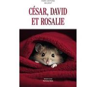 César, David et Rosalie Marc-Antoine Beldent (Auteur)