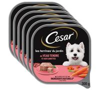 Cesar Inspirations du jardin Terrine pâté Nourriture pour chiens - Bœuf et carotte Lot de 6, 1800 g