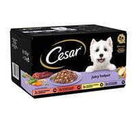 Cesar Juicy Hotpot Assortiment de 8 x 150 g