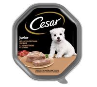 CESAR Junior barquette 150 g - aliment complet humide pour chiots, à la dinde et au veau, en pâté