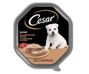 CESAR Junior tacka 150 g pâté à la dinde et au veau pour chiots