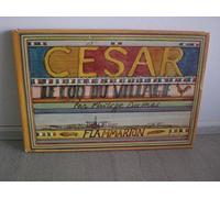 César, le coq du village