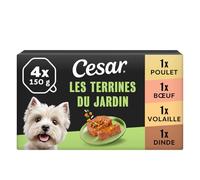 Cesar Les Terrines du Jardin 6 x 4 x 150 g Poulet, Bœuf, Volaille et Dinde en Morceaux avec Légumes et Riz (Pack de 24)