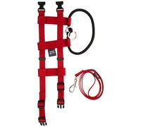 Cesar Millan Collier de Dressage Original américain pour Chien avec Laisse