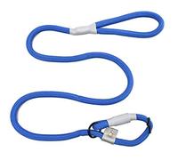 Cesar Millan Entraîneur de Nylon (Petit/Moyen, Bleu)