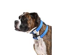 Cesar Millan Pack Leader Collar Collier de Dressage du Chien Whisperer Taille M Bleu